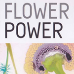 catalogue-exposition-FLOWER-POWER-villa-Giulia-CRAA