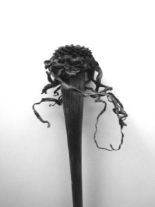 herbier-fantastique-sculptures-textiles-végétaux