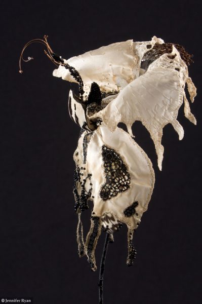 Phalaenopsis, prix Liliane Bettencourt pour l’intelligence de la main 2008