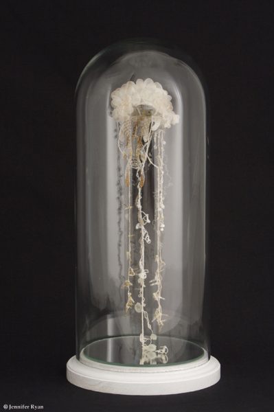 Méduse, sous globe de verre soufflé
